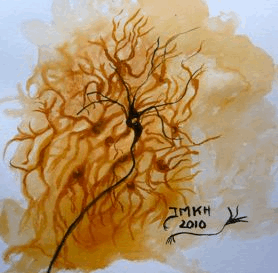 glia_and_neuron.gif glia_and_neuron.gif